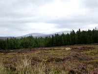 Z50_5990 : fietsvakantie, Ierland