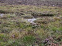Z50_5992 : fietsvakantie, Ierland
