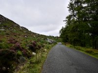 Z50_5993 : fietsvakantie, Ierland