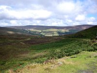 Z50_6019 : fietsvakantie, Ierland