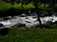 dag-12 20240815 21 Z50 1011