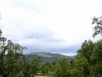 dag-15 20240818 06 Z50 1156
