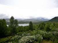 dag-15 20240818 08 Z50 1158