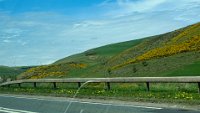 x  DSC05794