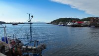 x  DSC05800  haven Oban