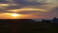 x  DSC05831