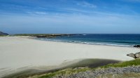 x  DSC05853  strand