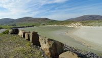 x  DSC05854