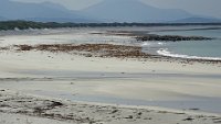 x  DSC05906
