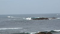 x  DSC05932