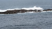 x  DSC05934
