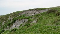 x  DSC05940  cliff met gaten voor oeverzwaluwen (en konijnen)