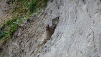 x  DSC05941