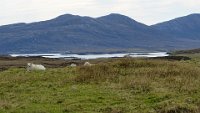 x  DSC05956