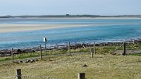 x  DSC05961