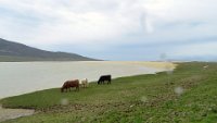 x  DSC05966