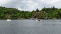 x  DSC05988