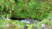 x  DSC06020