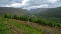 x  DSC06028