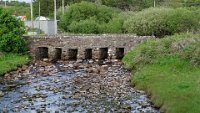 x  DSC06043