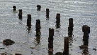x  DSC06046