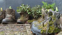 x  DSC06062