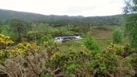 x  DSC06063