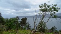 x  DSC06087  Loch Carron