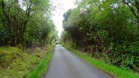 x  DSC06089