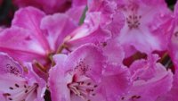 x  DSC06112