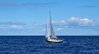 x  DSC06180