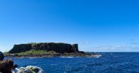 x  DSC06183