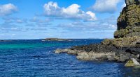 x  DSC06207