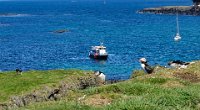 x  DSC06356