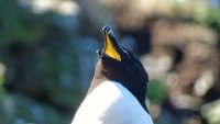 x  DSC06360