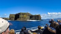 x  DSC06389  Staffa eiland