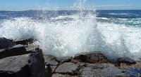 x  DSC06428