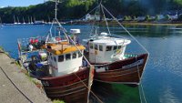x  DSC06464