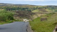 x  DSC06473