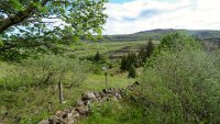 x  DSC06476