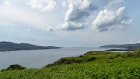 x  DSC06491