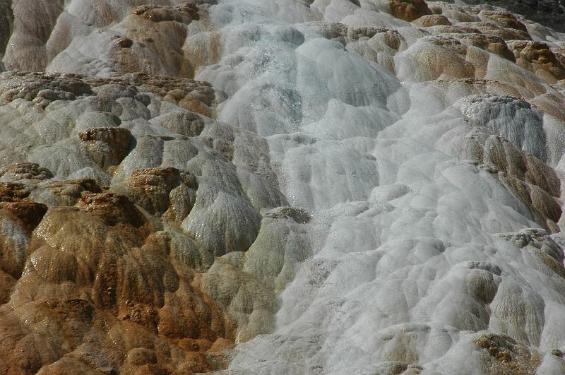 DSC_0458.JPG - Travertine formatie Mammoth Hot Springs