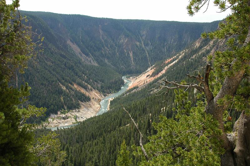 DSC_0535.JPG - Yellowstone Canyon