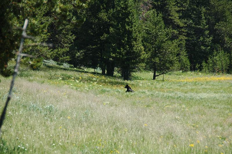DSC_0603.JPG