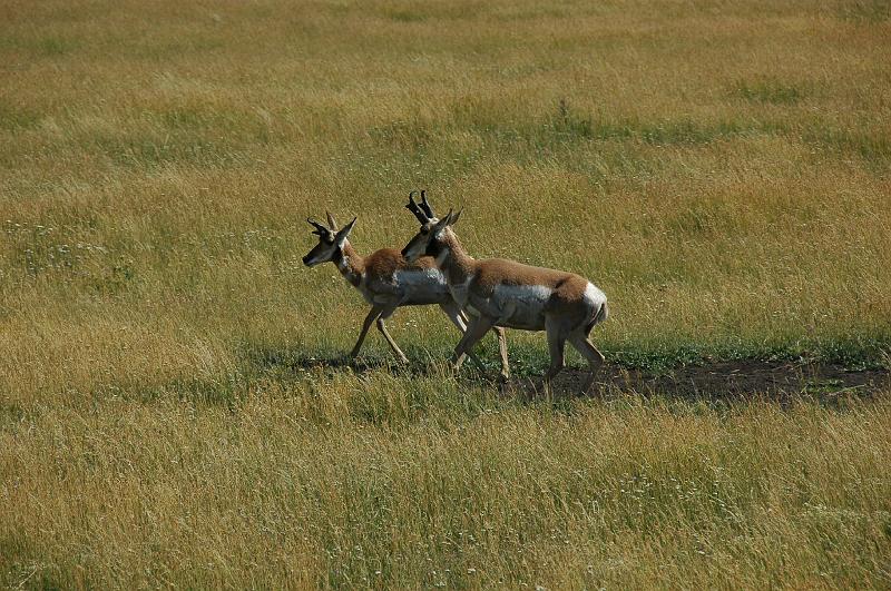 DSC_0652.JPG