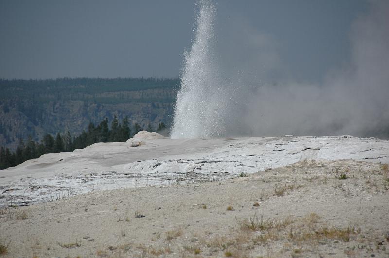 DSC_0716.JPG