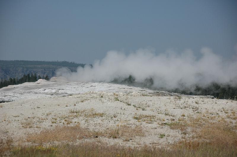 DSC_0728.JPG