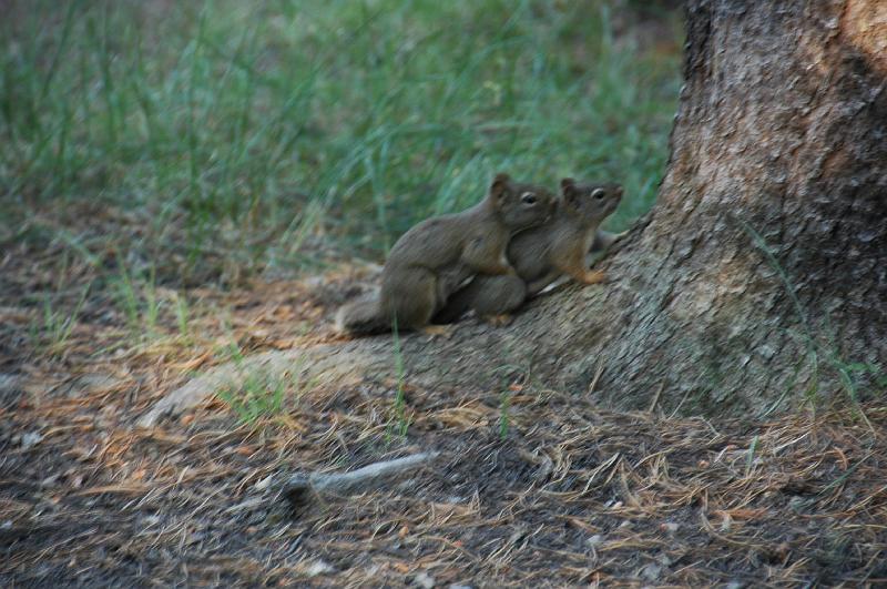DSC_0745.JPG