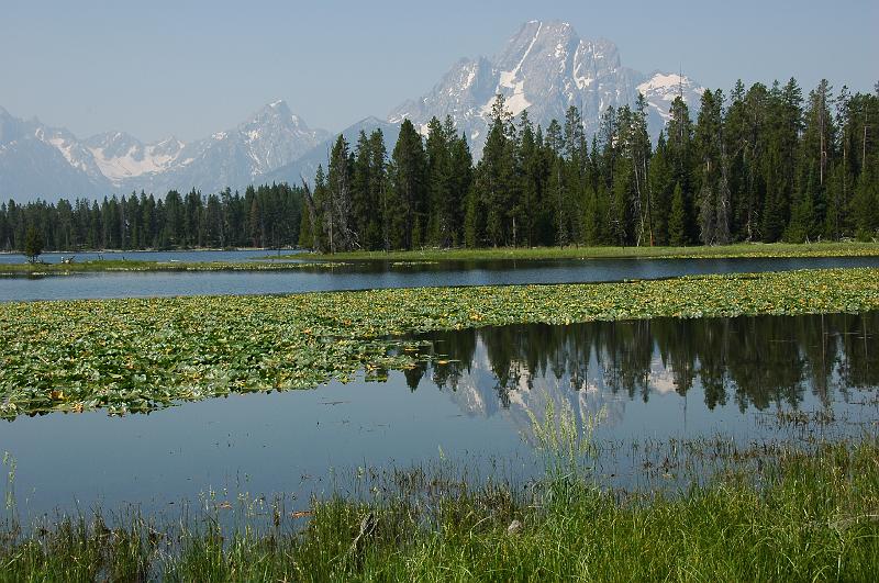 DSC_0775.JPG - Heron Lake in de Grand Tetons bij Colter Bay