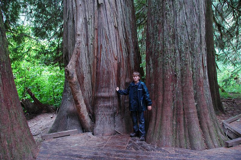 DSC_2004.JPG - Grove of the Patriarchs